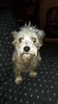 Peteka