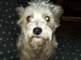 Peteka