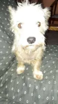 Peteka