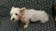 Peteka