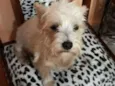 Peteka