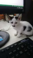 Milky