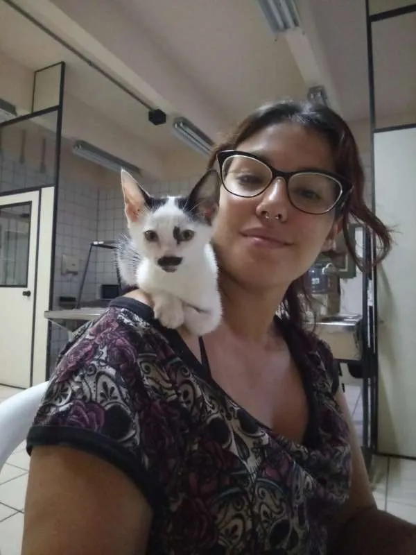Gato ra a sem raça definida idade Abaixo de 2 meses nome Milky