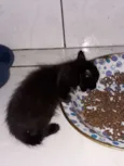 Não tem nome