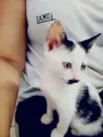 Milky