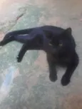 ..