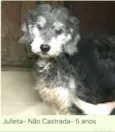 Julieta