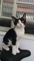 Luci