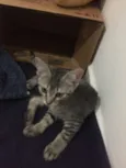 Nomes na foto