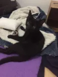 Nomes na foto