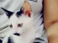 Milky