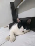 Diego