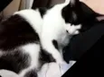 Diego