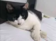 Diego