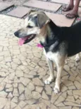 Didi