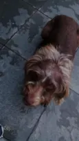 Boby