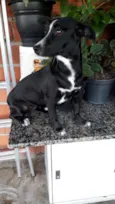 NEGUINHA