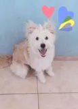Mel