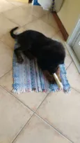 Bilbo