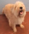 Nina Filhote Pequena