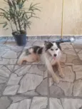 Nao tem 