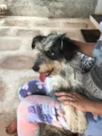 Bob