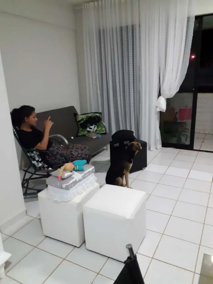 Cachorro raça Srd idade 4 anos nome Mel