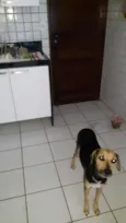 Mel