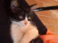 Fred