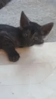 Princeso e mocinho