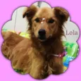 Lola