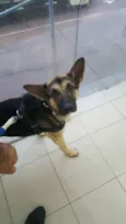 Jack