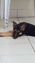 Jack