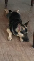 Jack