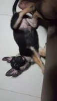 Jack