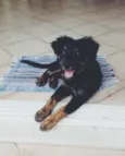 Bilbo