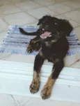 Bilbo