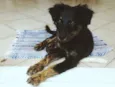 Bilbo