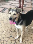 Didi