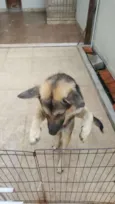 Jack
