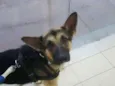 Jack