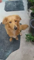Meg