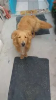 Meg