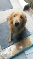 Meg