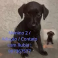 Sem nome