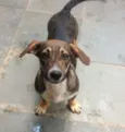 Lulu