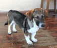 Lilah
