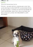TED