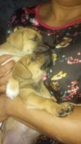 maezinha e bebes