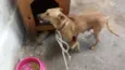 maezinha e bebes